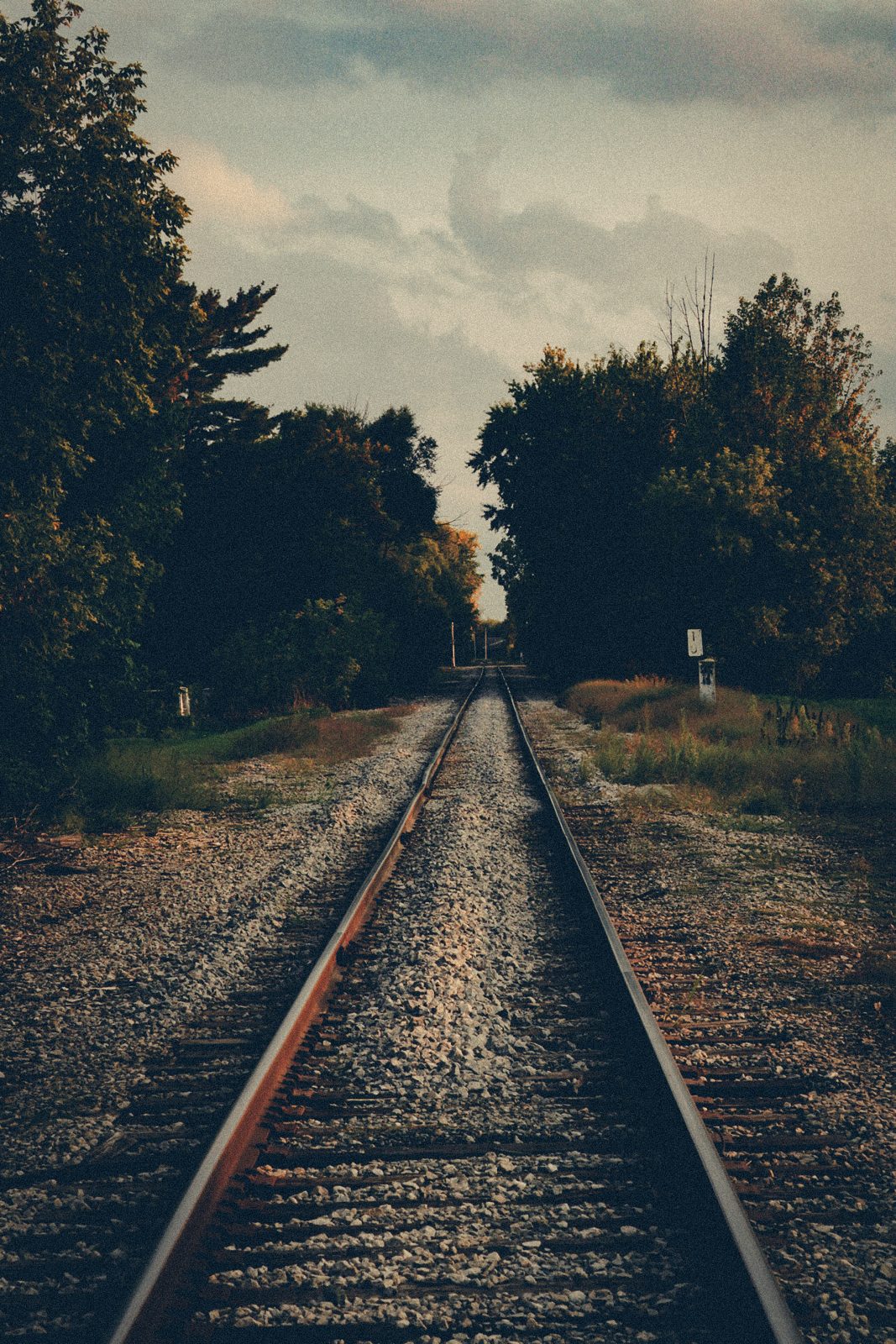 The complete portfolio — enter the full gallery. Photograph by Isaiah Sanchez.