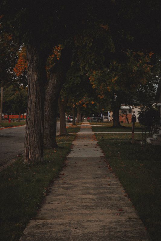 Sidewalk through trees. Photograph by Isaiah Sanchez.