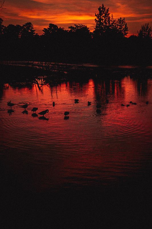 The lake going dark. Photograph by Isaiah Sanchez.