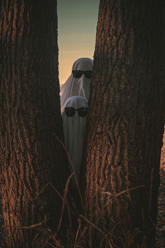 Framed between trees — from The Quiet Ones. Photograph by Isaiah Sanchez.