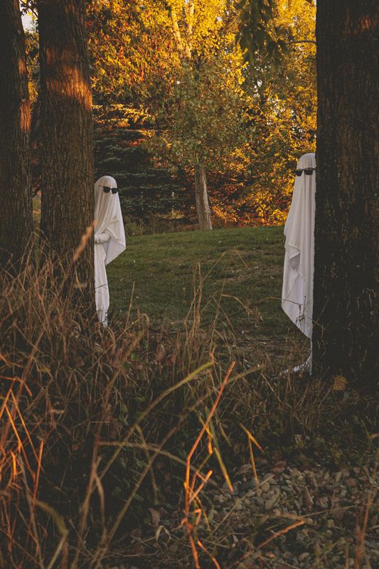 Apart, behind the trees — from The Quiet Ones. Photograph by Isaiah Sanchez.