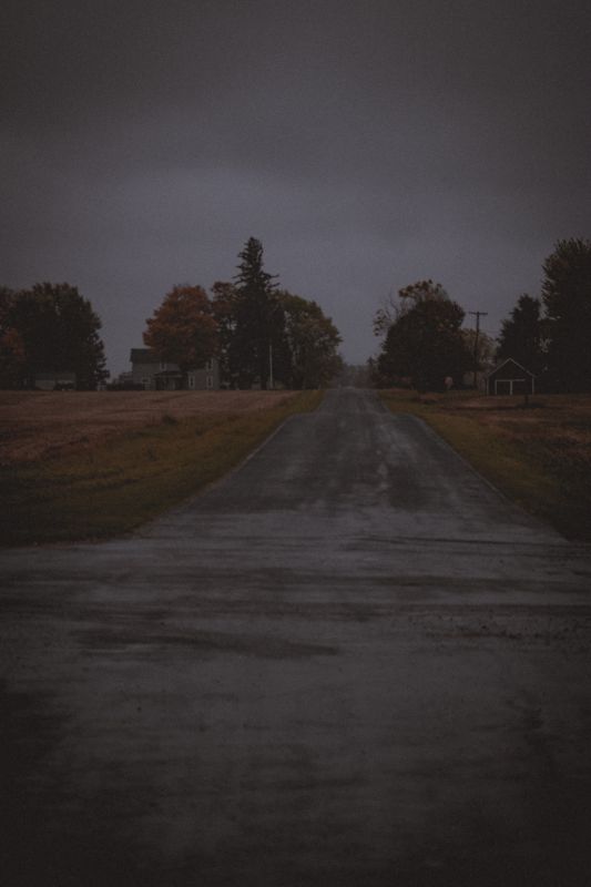 Fog on the road. Photograph by Isaiah Sanchez.