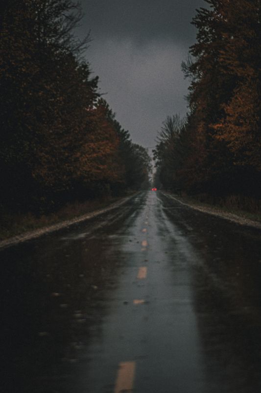 The road, rained on. Photograph by Isaiah Sanchez.
